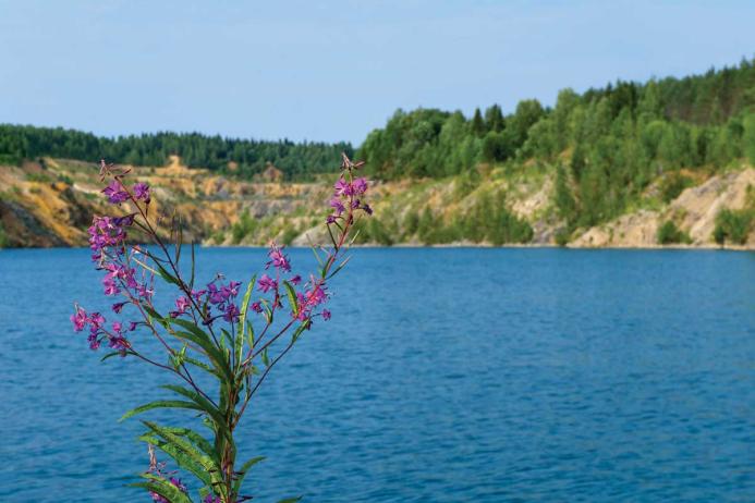 Water management