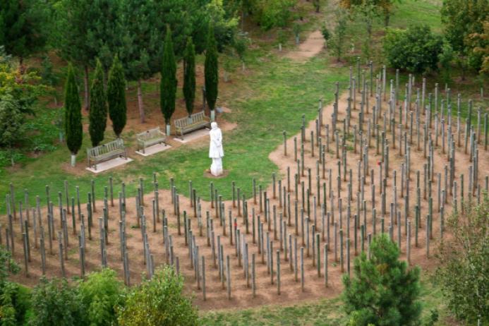 The renovated Shot at Dawn Memorial at the National Memorial Arboretum