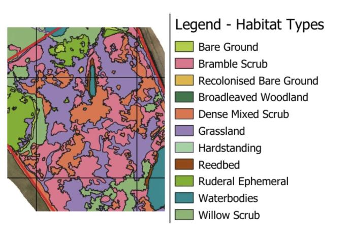 Fig. 1. Habitat map derived from drone multispectral data