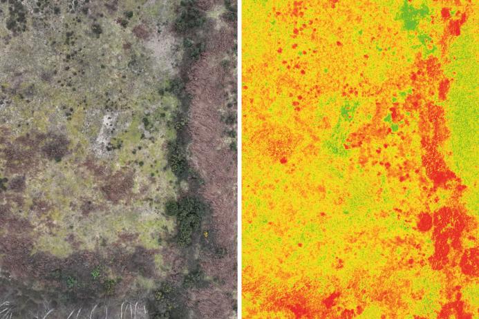 Left to right: Fig. 2. RGB aerial image; Fig. 3. Multispectral image showing NDVI values