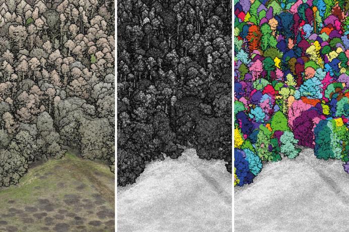 Left to right: Fig. 4. LiDAR coloured by RGB values; Fig. 5. LiDAR coloured by intensity values; Fig. 6. LiDAR data identifying extracted individual trees