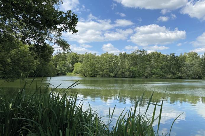Hilton Gravel Pits SSSI