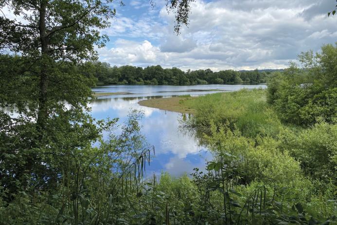 Sevenoaks Gravel Pit SSSI, which was visited and photographed as part of the study in 2024