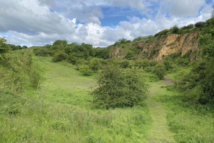 Wingate Quarry SSSI, which was visited and photographed as part of the study in 2024