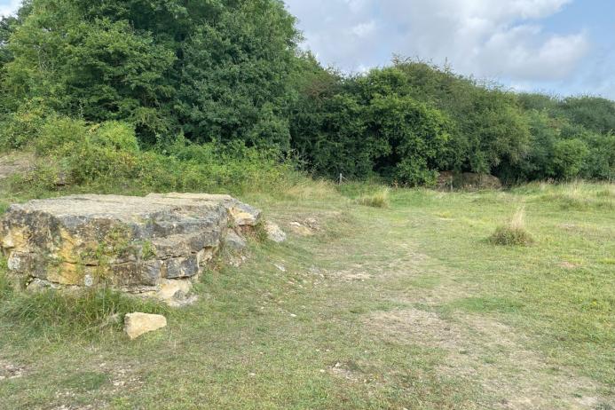Stonesby Quarry SSSI