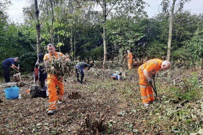 Tarmac staff clearing a woodland glade on a corporate work day with LUCT. Photo: Emma Higgs