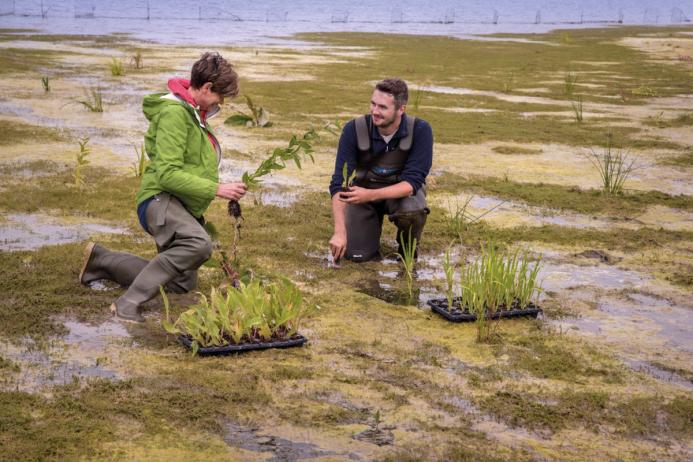 LUCT volunteers planting on Flasks Fen. Photo: Frank Dwyer