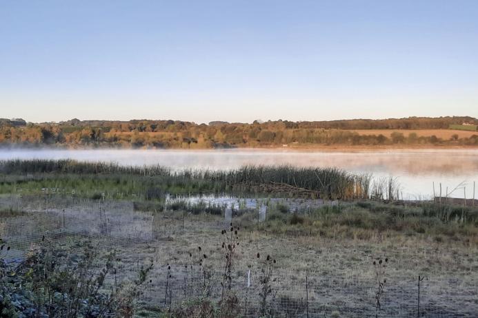 Flasks Fen offers shelter and food for a host of wetland birds and invertebrates