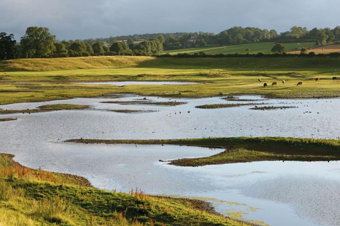 Part of Nosterfield Nature Reserve - Photo: Lower Ure Conservation Trust