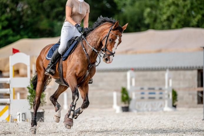 With the correct choice of surface additive, ProArena provides a safe equestrian experience for both horse and rider