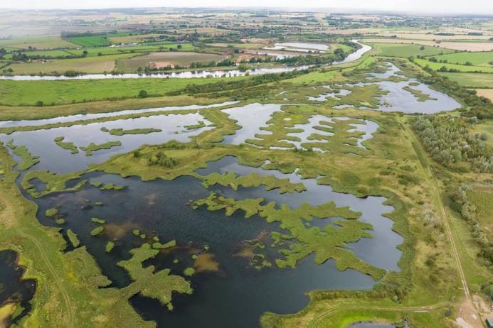 Today, around 70ha of reed bed dominate the Langford Lowfield Nature Reserve