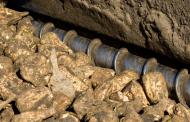 Corewire - sugar beet