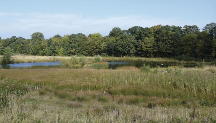 Moss Carr surface mine