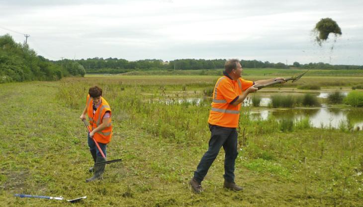 Hanson create wildflower meadow habitat