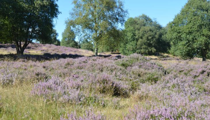 Tarmac National Nature Reserve