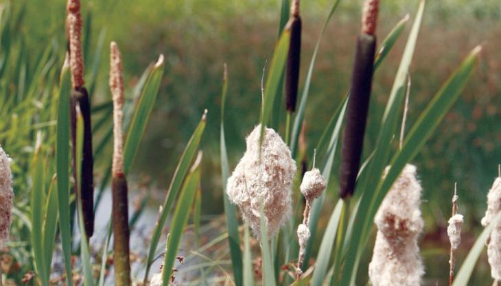 Langford sand and gravel quarry