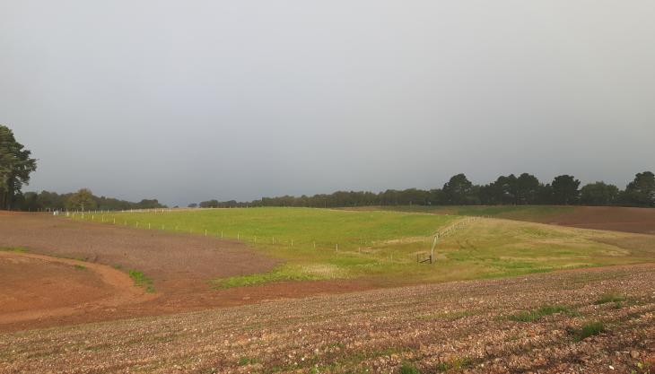 Venn Ottery Quarry restoration