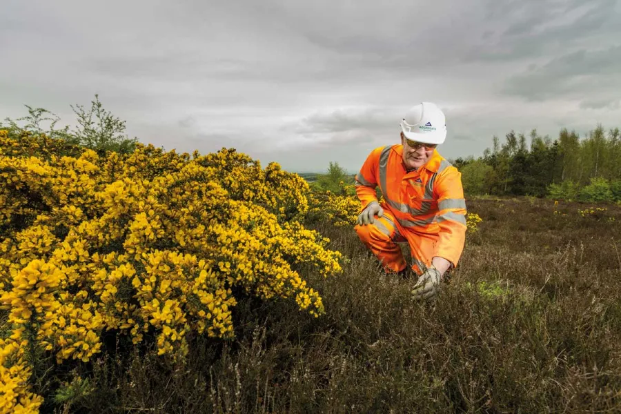 Aggregate Industries are committed to managing the impact on nature and ensuring that biodiversity is protected and enhanced