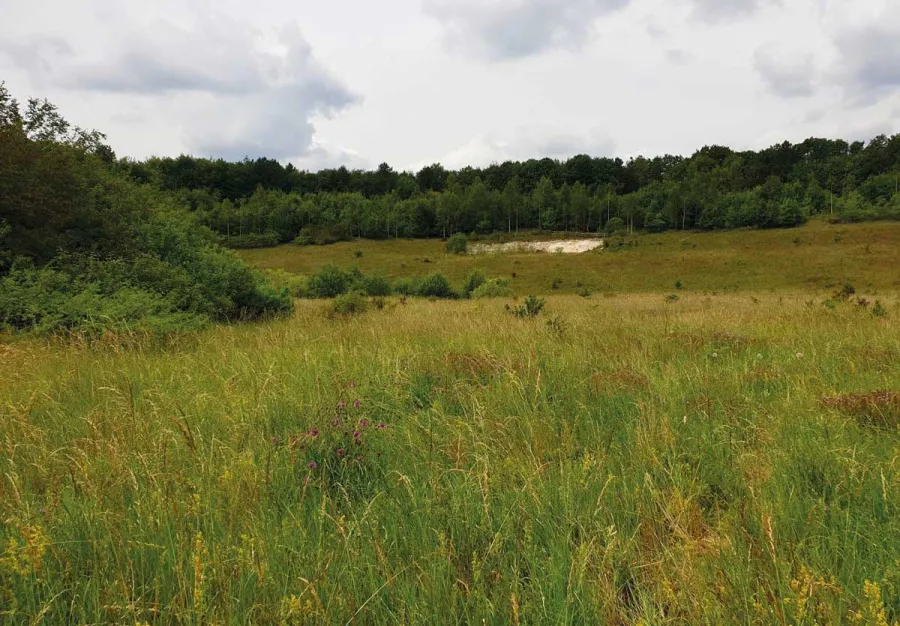 Cemex have adopted a nature positive approach to the environment and restoration