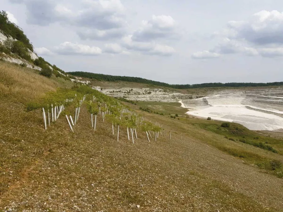 More than 150ha of priority chalk grassland habitat is being created at Kensworth Quarry