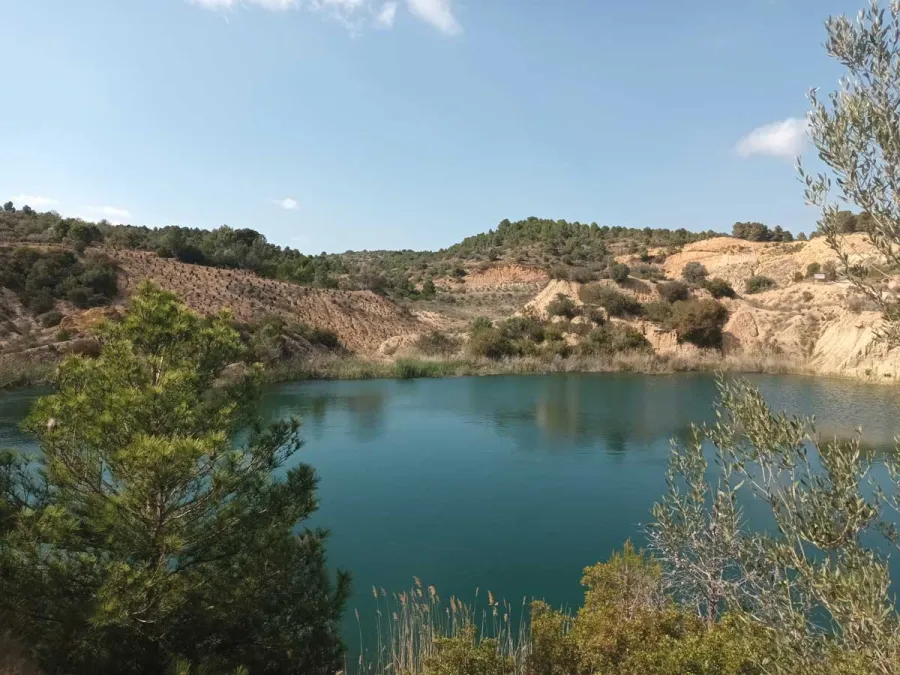 As well as providing a solution to the issues around water scarcity, the restored site is seeing a corresponding increase in biodiversity