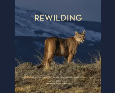 ‘Rewilding’ is the 31st edition in Cemex’s nature book series  