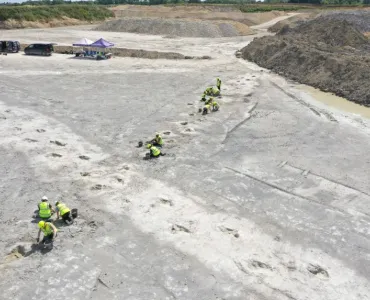 Excavation of the dinosaur tracks at Dewars Farm Quarry. Photo: University of Birmingham