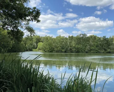 Hilton Gravel Pits SSSI