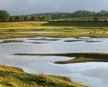 Part of Nosterfield Nature Reserve - Photo: Lower Ure Conservation Trust