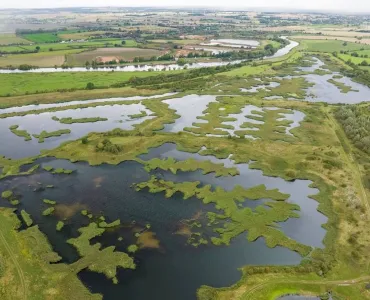 Today, around 70ha of reed bed dominate the Langford Lowfield Nature Reserve