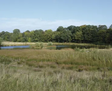 Moss Carr surface mine