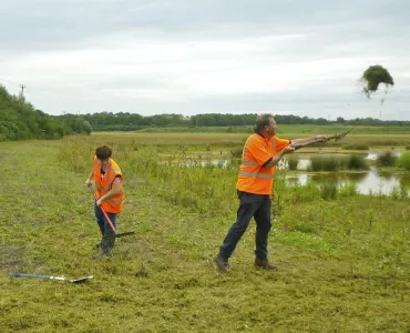 Hanson create wildflower meadow habitat