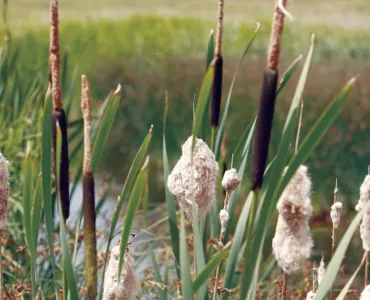 Langford sand and gravel quarry