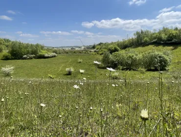 Photo taken at Kensworth Quarry where Cemex have undertaken a significant land restoration programme to enhance biodiversity across the site 
