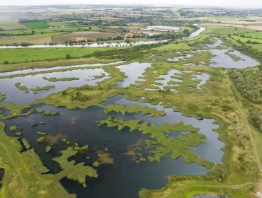 Today, around 70ha of reed bed dominate the Langford Lowfield Nature Reserve