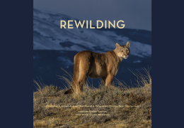 ‘Rewilding’ is the 31st edition in Cemex’s nature book series  
