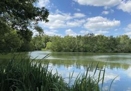 Hilton Gravel Pits SSSI