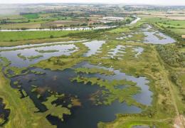 Today, around 70ha of reed bed dominate the Langford Lowfield Nature Reserve