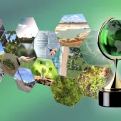 The Emerald Challenge serves as a catalyst for change, empowering individuals and organizations to lead the way in resource efficiency, carbon reduction, and environmental stewardship