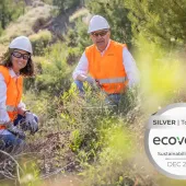 Sibelco have been awarded a Silver Sustainability rating from EcoVadis