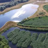 Award-winning quarry restoration at Ripon City Wetlands, North Yorkshire, a partnership between MPA member Aggregate Industries and Yorkshire Wildlife Trust