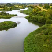 Quarries & Nature celebrates the essential role quarrying plays in nature recovery and biodiversity gain