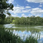 Hilton Gravel Pits SSSI