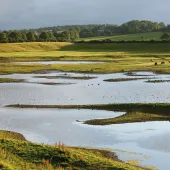 Part of Nosterfield Nature Reserve - Photo: Lower Ure Conservation Trust
