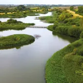 Quarries & Nature celebrates the essential role quarrying plays in nature recovery and biodiversity gain