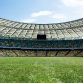 Specialist football pitch sand such as ProPitch Rootzone encourages healthy root growth
