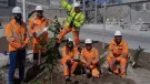 Tunstead employees planted native trees and shrubs in a new green space located on site